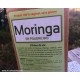 Moringa Bio en poudre, 150 gr