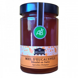 Miel eucalyptus Bio 400 Gr.