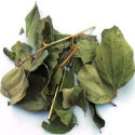 Feuilles de Jujubier ( Sidr) : 20 Gr