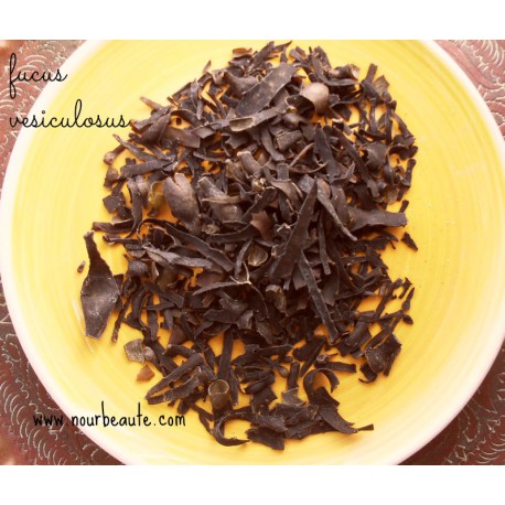 Fucus Vesiculosus Bio, 50 Gr